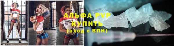 СК Бородино