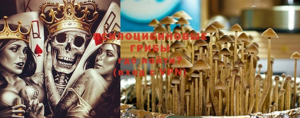 метадон Вяземский
