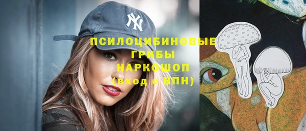 метадон Вяземский