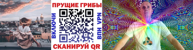 хочу   Ершов  Галлюциногенные грибы Magic Shrooms 