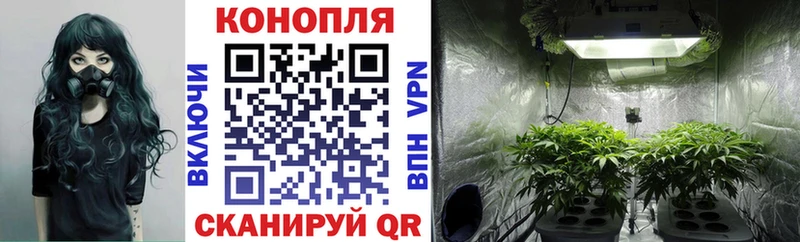 Бошки Шишки индика  магазин  наркотиков  Ершов 